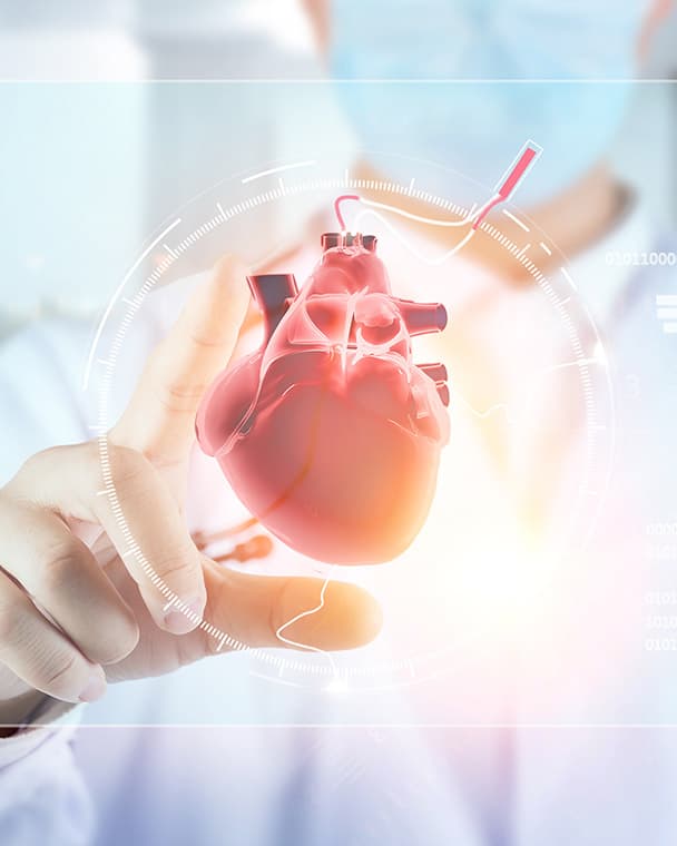 Personalized Tumor Testing