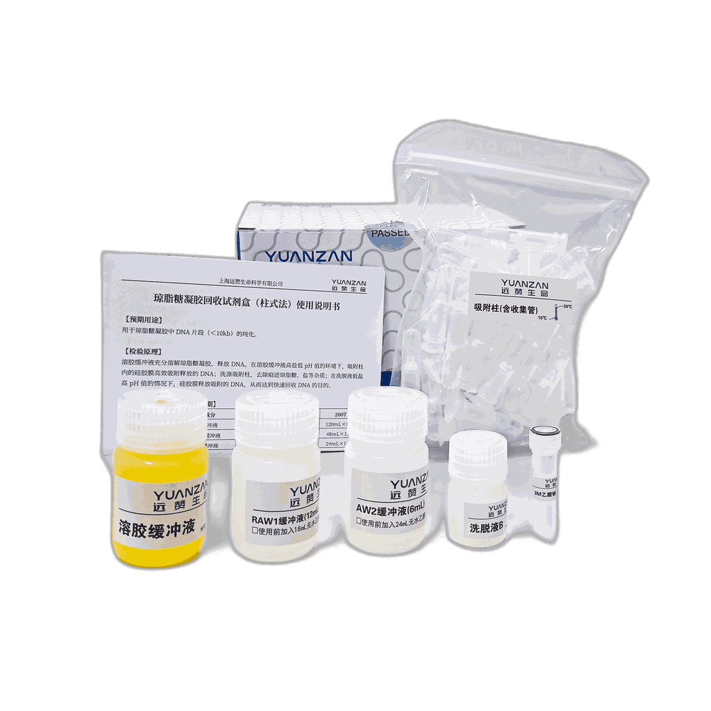 Gel Extraction