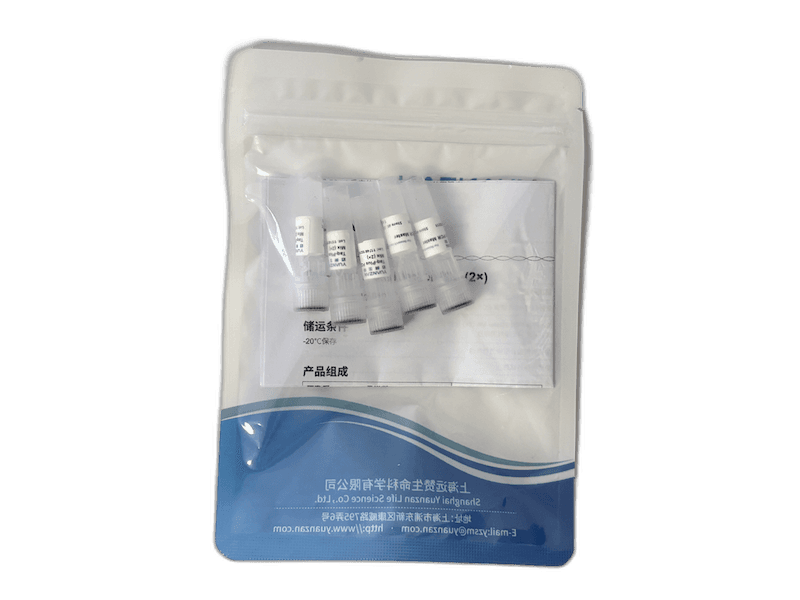 PCR Reagents