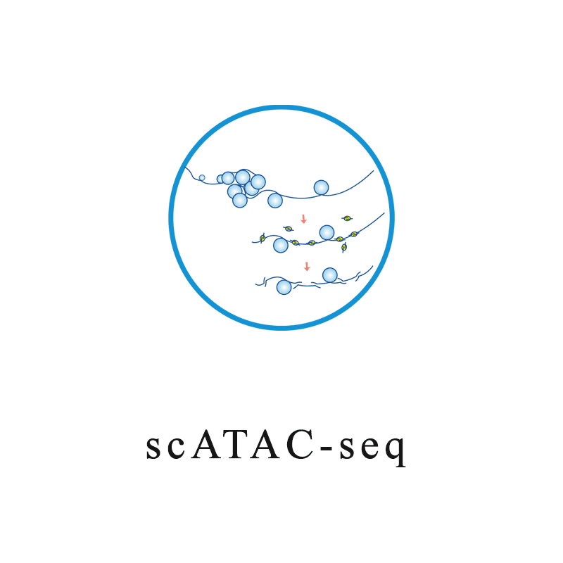 Single Cell & Spatial Omics