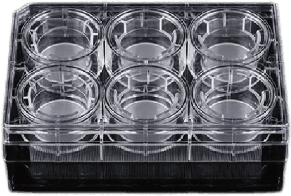 Cell Chamber Culture Plate
