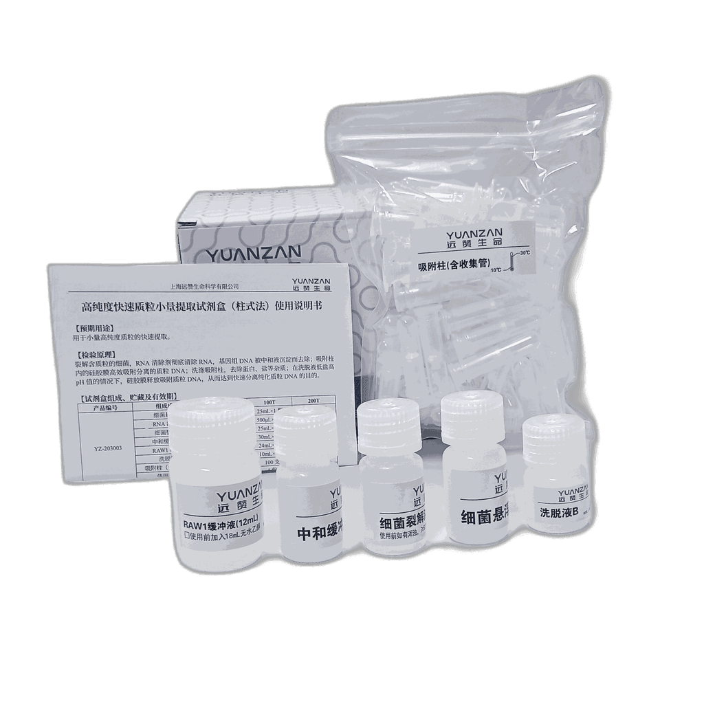 High-Purity Plasmid Mini Kit (5 mL)