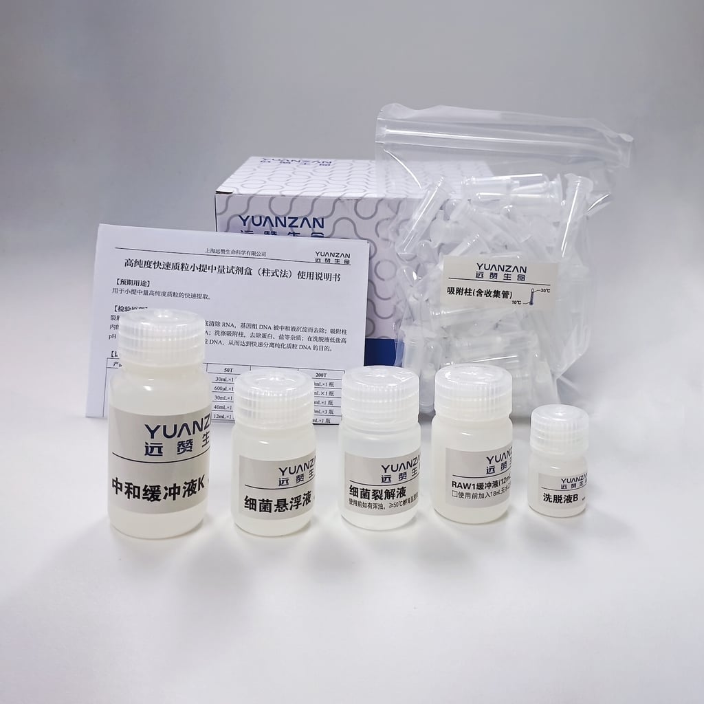 High-Purity Plasmid Midi Kit, Column-Based, Double Wash (15 mL) thumbnail 1