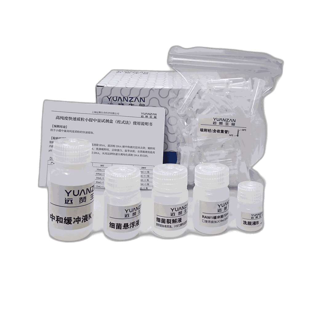 High-Purity Plasmid Midi Kit, Column-Based, Double Wash (15 mL)