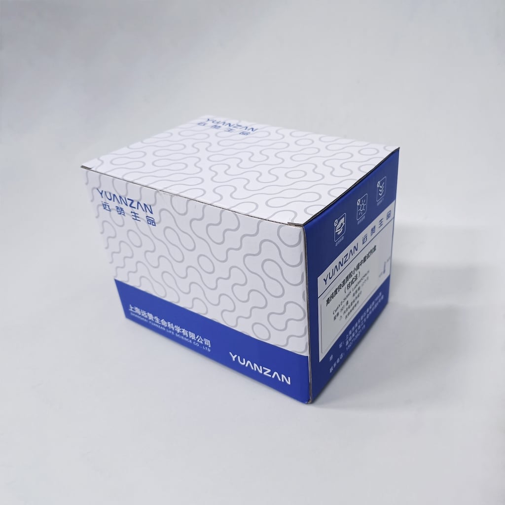 High-Purity Plasmid Midi Kit, Column-Based, Double Wash (15 mL) thumbnail 2
