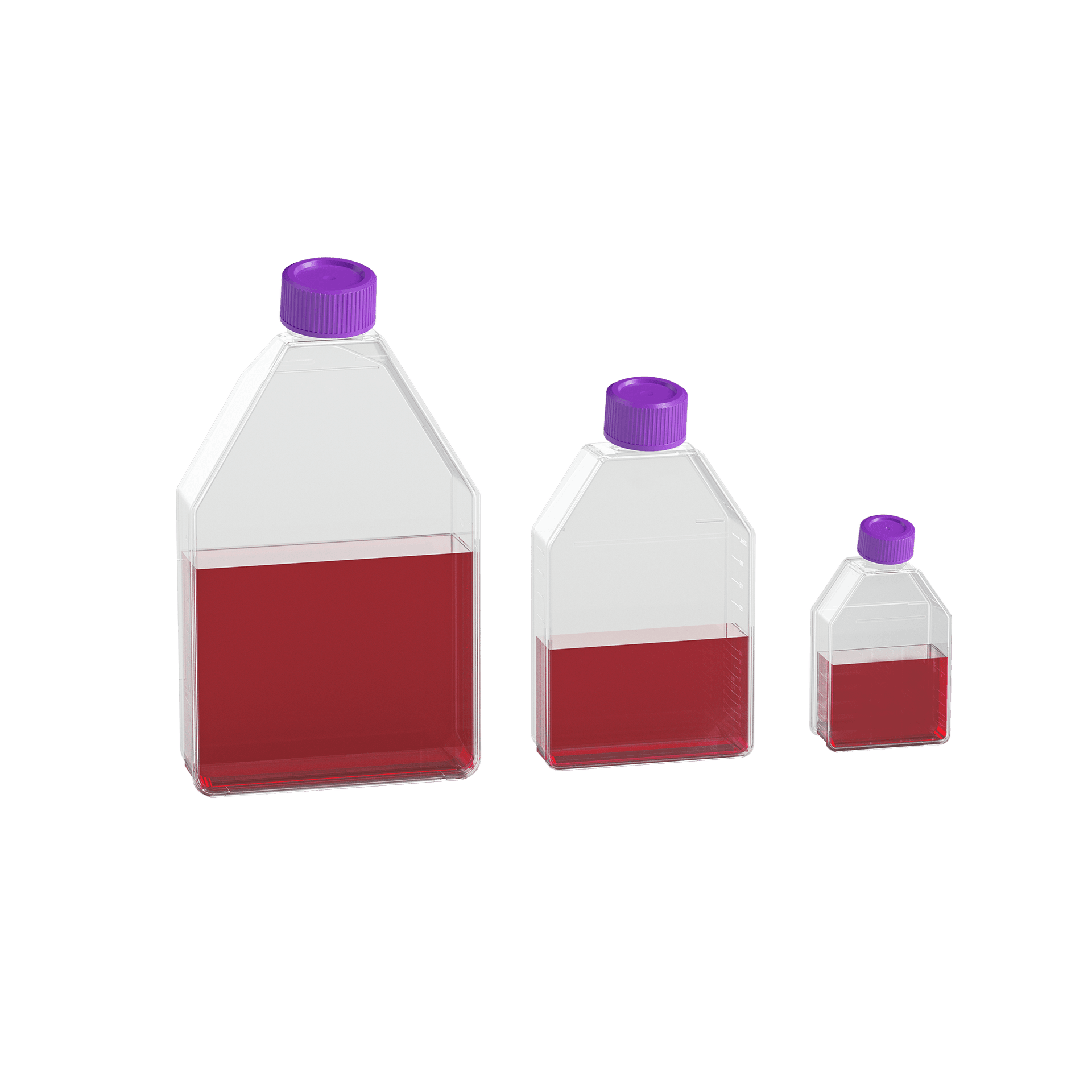 Selected Cell Culture Consumables