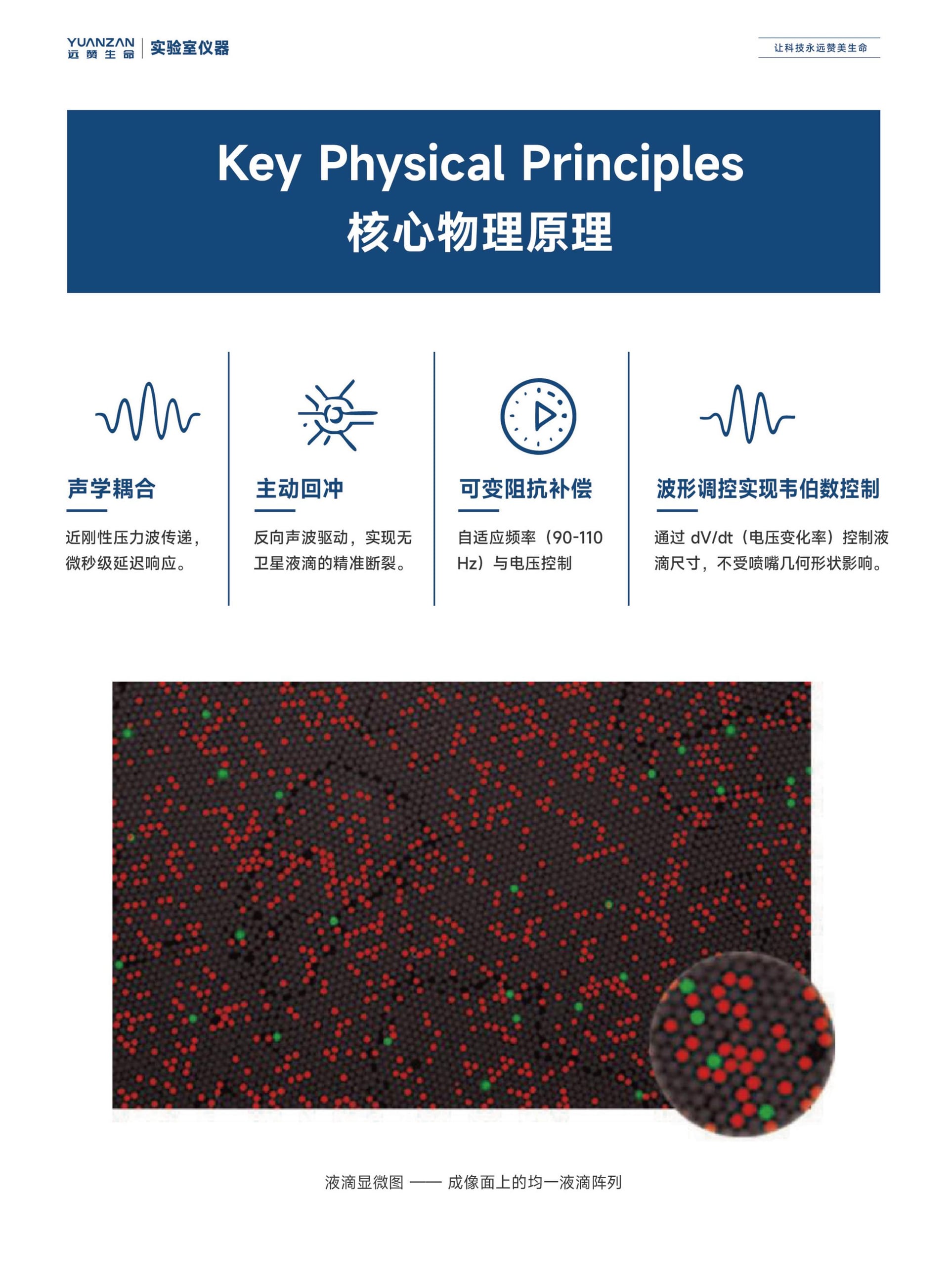 全自动数字PCR检测仪 ZY/VD-200系列 - Detail 5