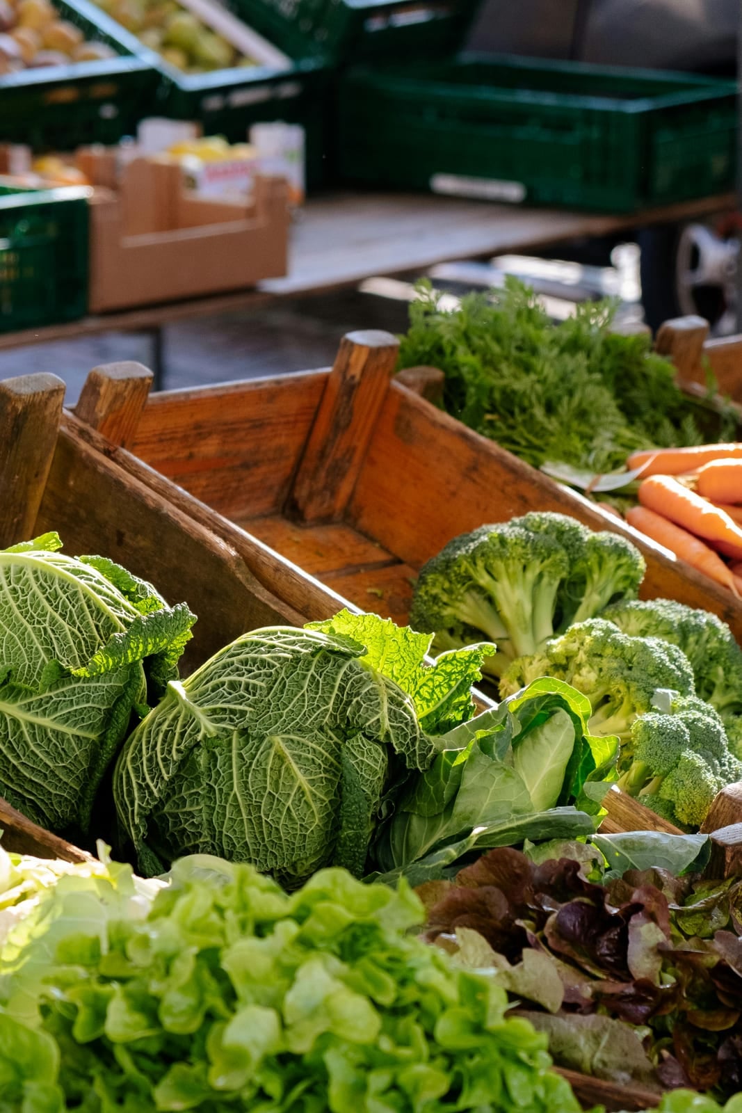 Food and environmental monitoring